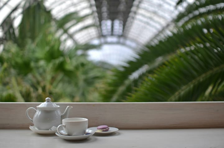 A Rich Life, Indian Masala Chai